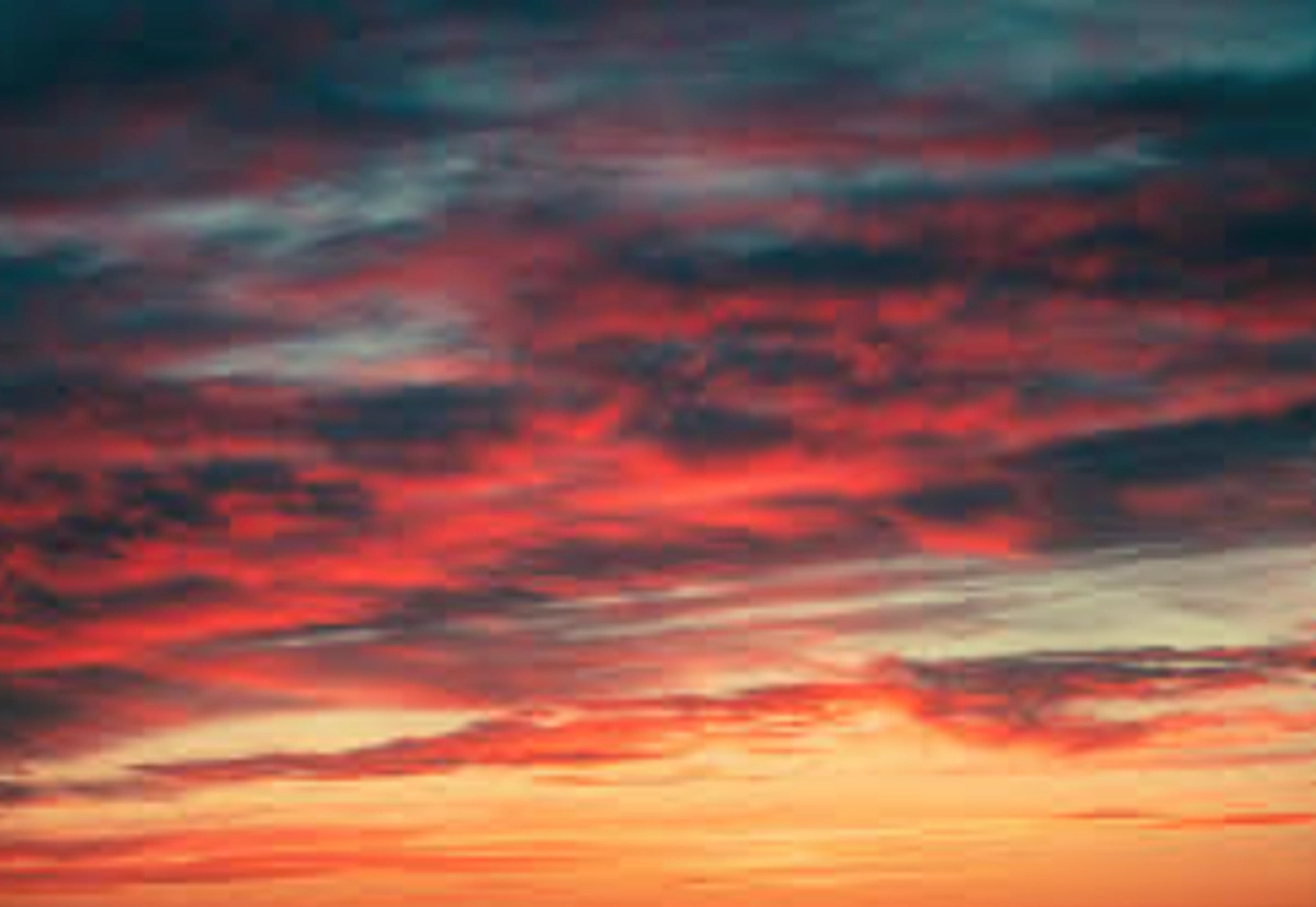 다시 걷고 있어요🦚의 프로필 이미지